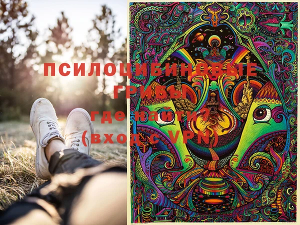 индика Волгодонск