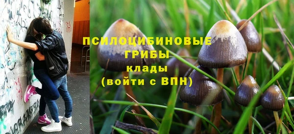 амфетамин Алексеевка